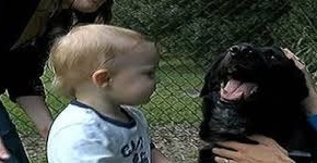Family Dog, Killian, Warns Parents of Child Abuse